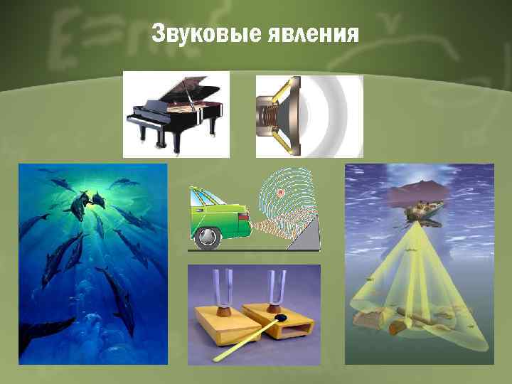 Звуковые явления 