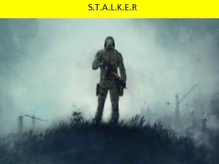 S. T. A. L. K. E. R 