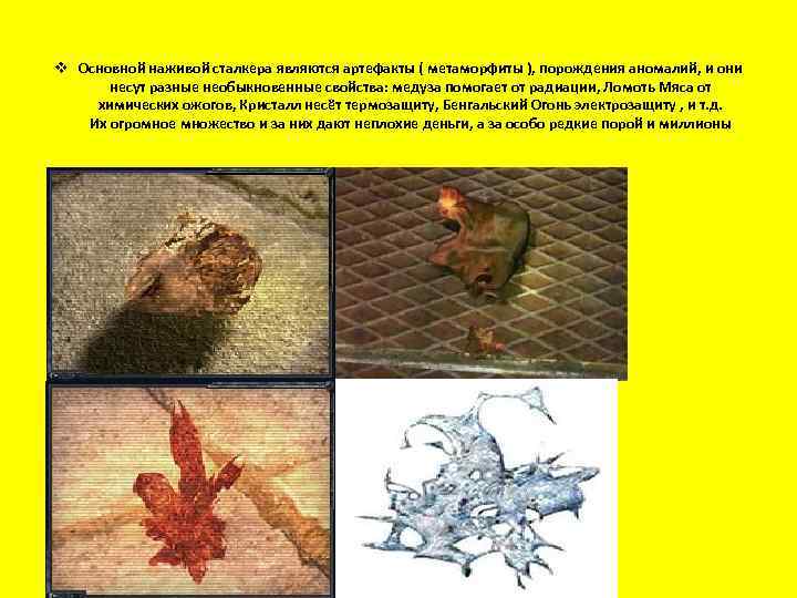 v Основной наживой сталкера являются артефакты ( метаморфиты ), порождения аномалий, и они несут