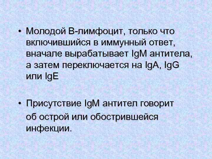  • Молодой В-лимфоцит, только что включившийся в иммунный ответ, вначале вырабатывает Ig. M