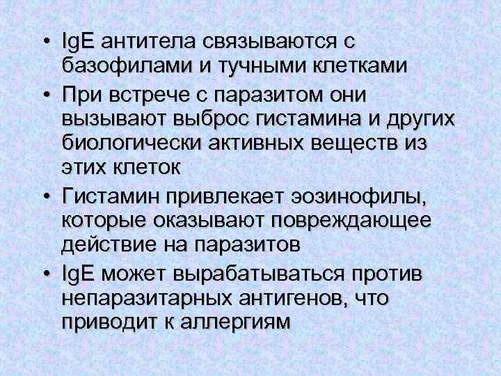  • Ig. E антитела связываются с базофилами и тучными клетками • При встрече
