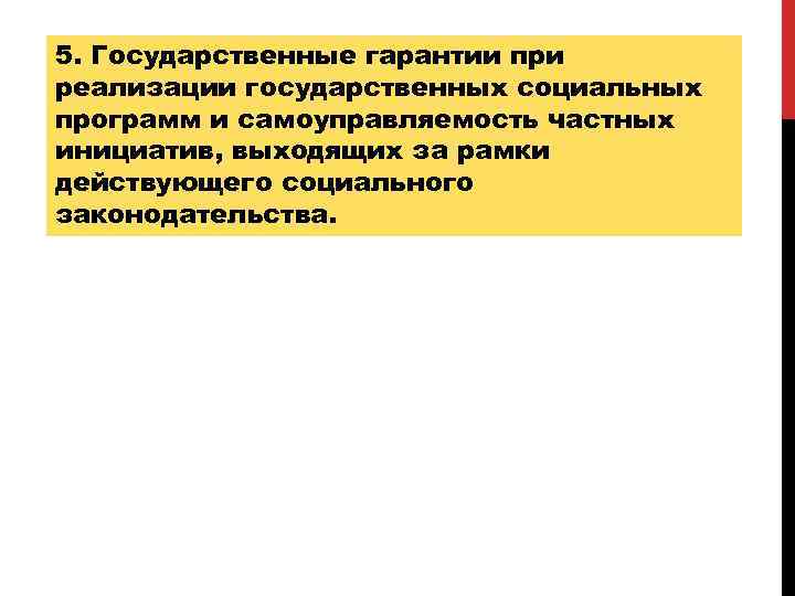 5. Государственные гарантии при реализации государственных социальных программ и самоуправляемость частных инициатив, выходящих за