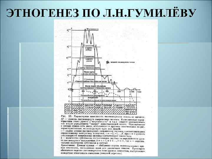 ЭТНОГЕНЕЗ ПО Л. Н. ГУМИЛЁВУ 