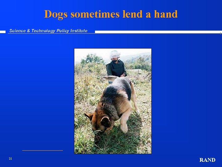 Dogs sometimes lend a hand Science & Technology Policy Institute 21 RAND 
