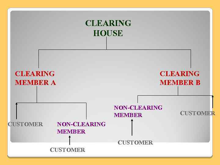 CLEARING HOUSE CLEARING MEMBER A CLEARING MEMBER B NON-CLEARING MEMBER CUSTOMER 