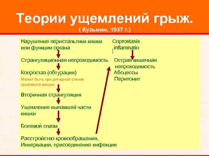 Теории ущемлений грыж. ( Кузьмин, 1937 г. ) Нарушение перистальтики кишки Coprostasis или функции