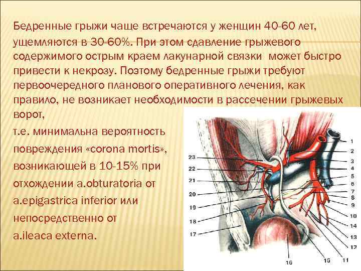 Бедренные грыжи чаще встречаются у женщин 40 -60 лет, ущемляются в 30 -60%. При