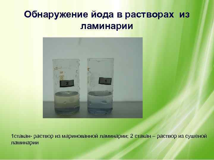 Обнаружение йода в растворах из ламинарии 1 стакан- раствор из маринованной ламинарии; 2 стакан