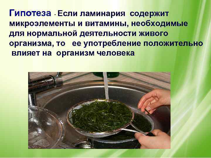 Гипотеза - Если ламинария содержит микроэлементы и витамины, необходимые для нормальной деятельности живого организма,