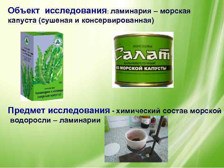 Объект исследования: ламинария – морская капуста (сушеная и консервированная) Предмет исследования - химический состав