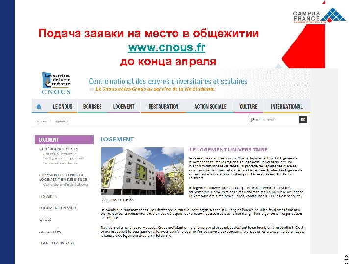 Подача заявки на место в общежитии www. cnous. fr до конца апреля 2 