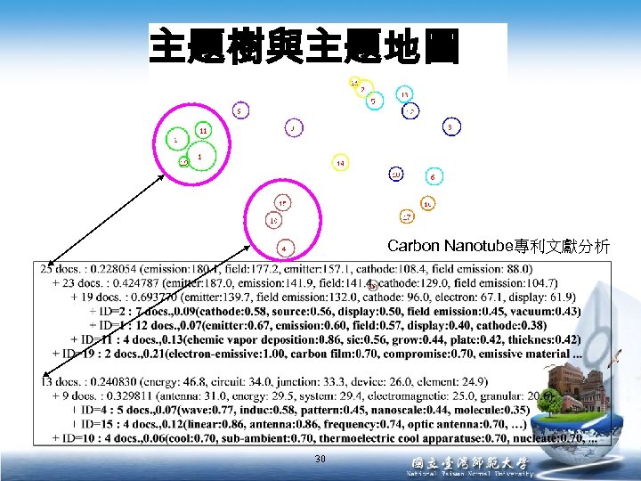 主題樹與主題地圖 Carbon Nanotube專利文獻分析 30 