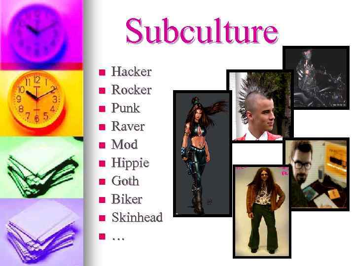 Subculture n n n n n Hacker Rocker Punk Raver Mod Hippie Goth Biker