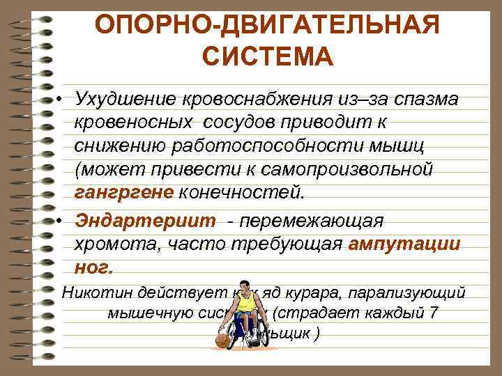 ОПОРНО-ДВИГАТЕЛЬНАЯ СИСТЕМА • Ухудшение кровоснабжения из–за спазма кровеносных сосудов приводит к снижению работоспособности мышц