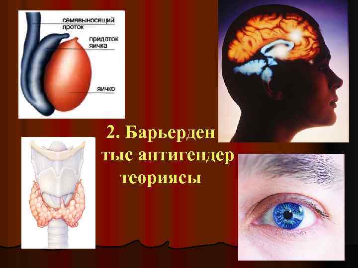 2. Барьерден тыс антигендер теориясы 