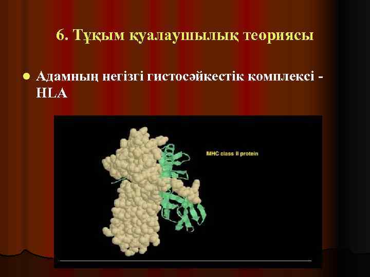 6. Тұқым қуалаушылық теориясы l Адамның негізгі гистосәйкестік комплексі HLA 