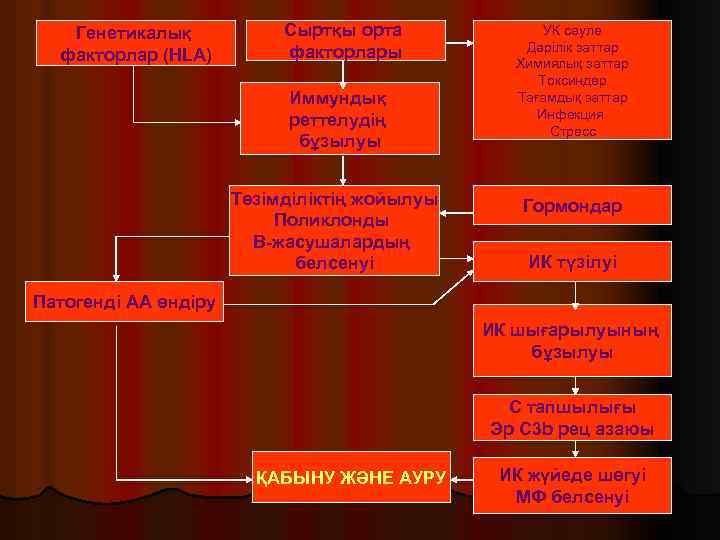 Генетикалық факторлар (HLA) Сыртқы орта факторлары Иммундық реттелудің бұзылуы Төзімділіктің жойылуы Поликлонды В-жасушалардың белсенуі