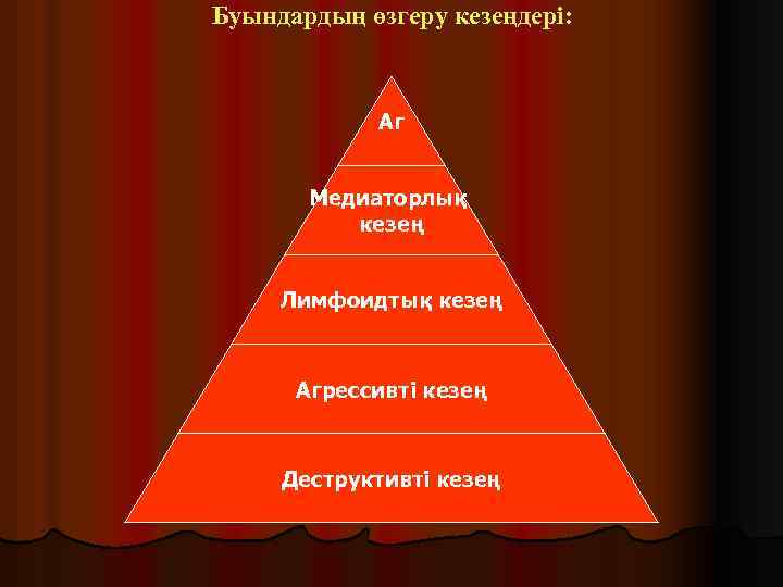 Буындардың өзгеру кезеңдері: Аг Медиаторлық кезең Лимфоидтық кезең Агрессивті кезең Деструктивті кезең 