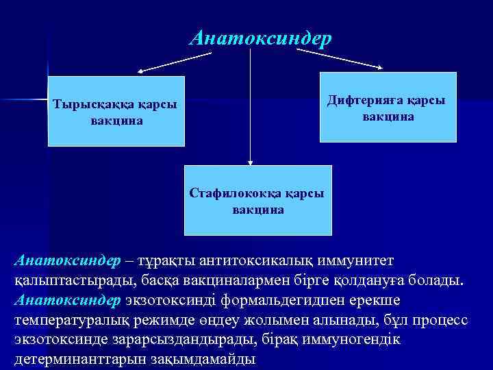 Анатоксиндер Дифтерияға қарсы вакцина Тырысқаққа қарсы вакцина Стафилококқа қарсы вакцина Анатоксиндер – тұрақты антитоксикалық