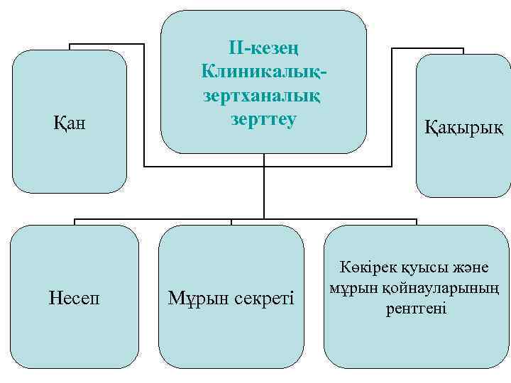 Қан Несеп II-кезең Клиникалықзертханалық зерттеу Мұрын секреті Қақырық Көкірек қуысы және мұрын қойнауларының рентгені