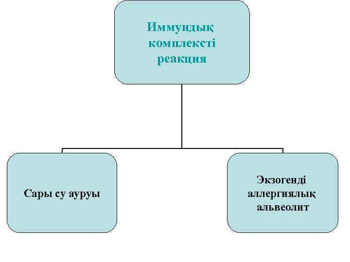 Иммундық комплексті реакция Сары су ауруы Экзогенді аллергиялық альвеолит 