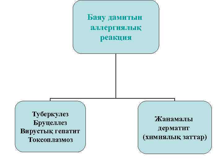 Баяу дамитын аллергиялық реакция Туберкулез Бруцеллез Вирустық гепатит Токсоплазмоз Жанамалы дерматит (химиялық заттар) 