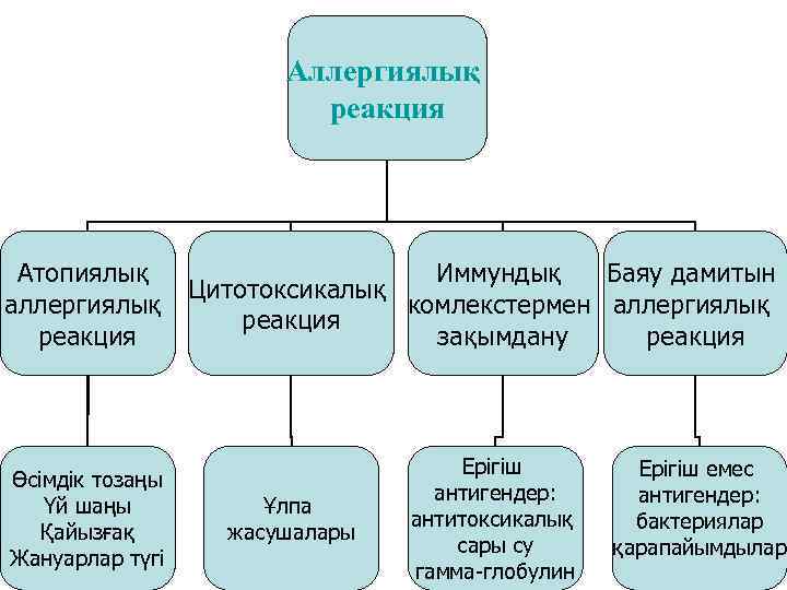Аллергиялық реакция Баяу дамитын Атопиялық Иммундық Цитотоксикалық аллергиялық комлекстермен аллергиялық реакция зақымдану реакция Өсімдік