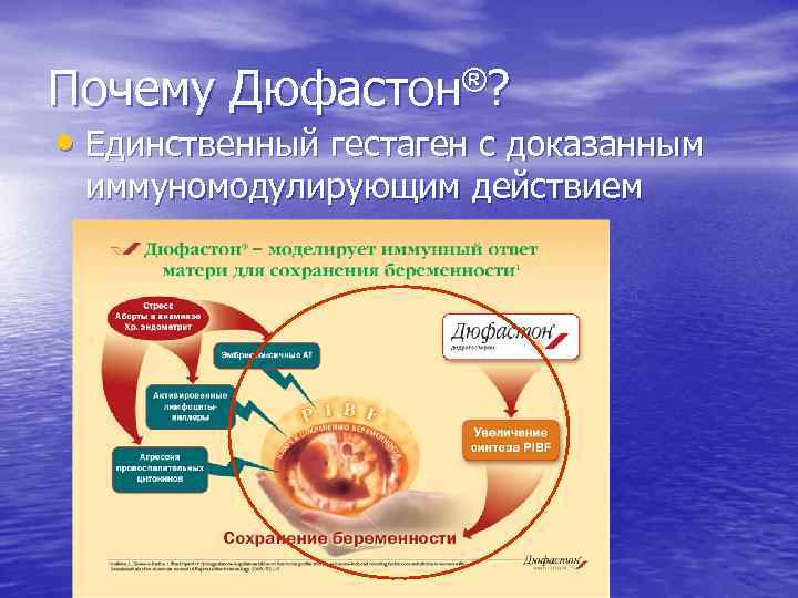 Почему Дюфастон®? • Единственный гестаген с доказанным иммуномодулирующим действием 