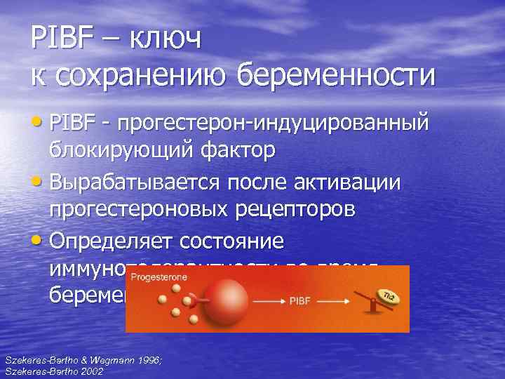 PIBF – ключ к сохранению беременности • PIBF - прогестерон-индуцированный блокирующий фактор • Вырабатывается