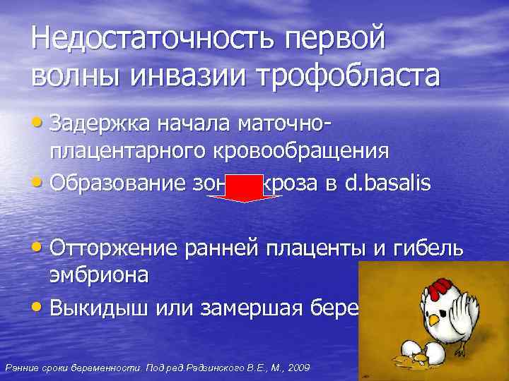 Недостаточность первой волны инвазии трофобласта • Задержка начала маточно- плацентарного кровообращения • Образование зон