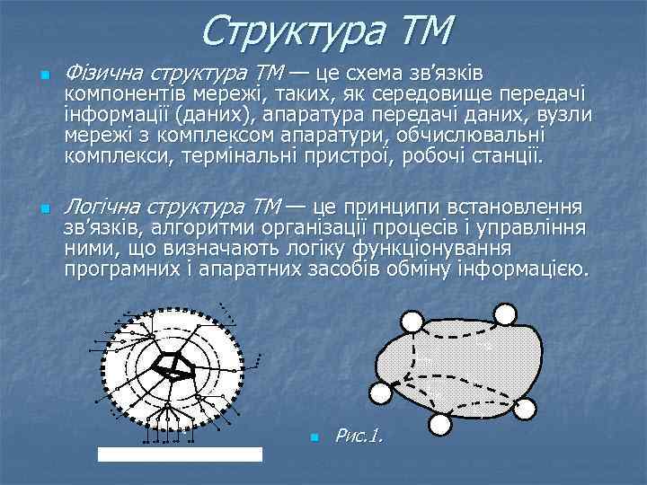 Структура ТМ n Фізична структура ТМ — це схема зв’язків n Логічна структура ТМ