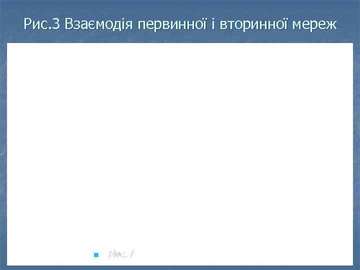 Рис. 3 Взаємодія первинної і вторинної мереж n Рис. 3. 