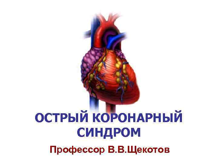 ОСТРЫЙ КОРОНАРНЫЙ СИНДРОМ Профессор В. В. Щекотов 