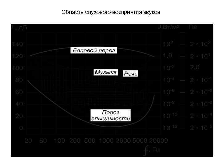 Область слухового восприятия звуков 