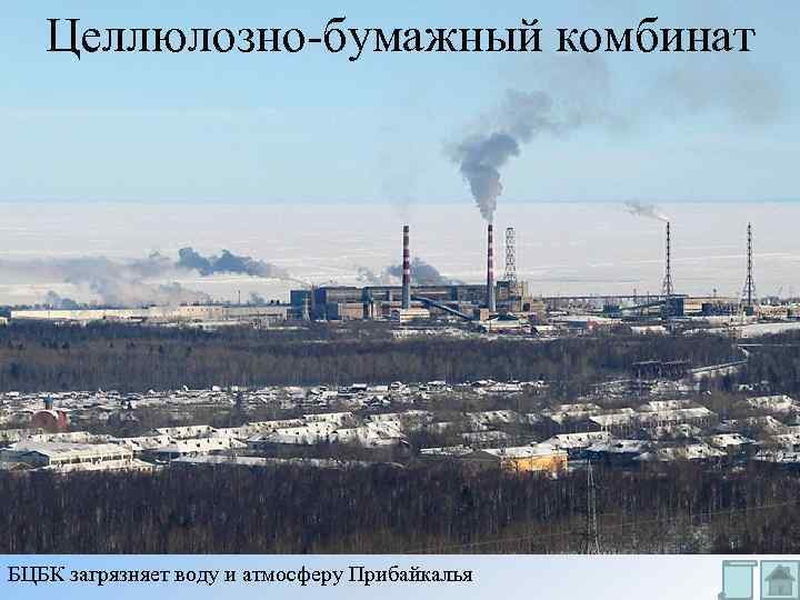 Целлюлозно-бумажный комбинат БЦБК загрязняет воду и атмосферу Прибайкалья 