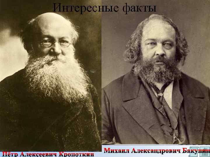 Интересные факты 