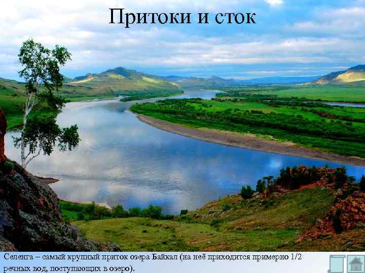 Притоки и сток Селенга – самый крупный приток озера Байкал (на неё приходится примерно