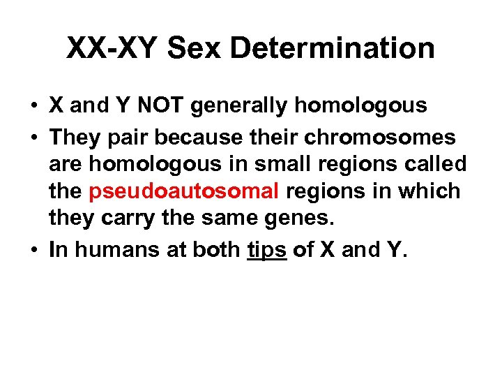XX-XY Sex Determination • X and Y NOT generally homologous • They pair because