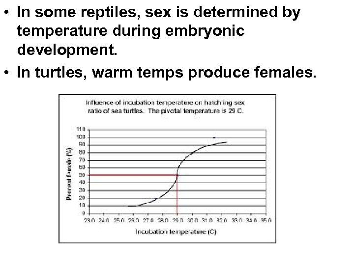  • In some reptiles, sex is determined by temperature during embryonic development. •