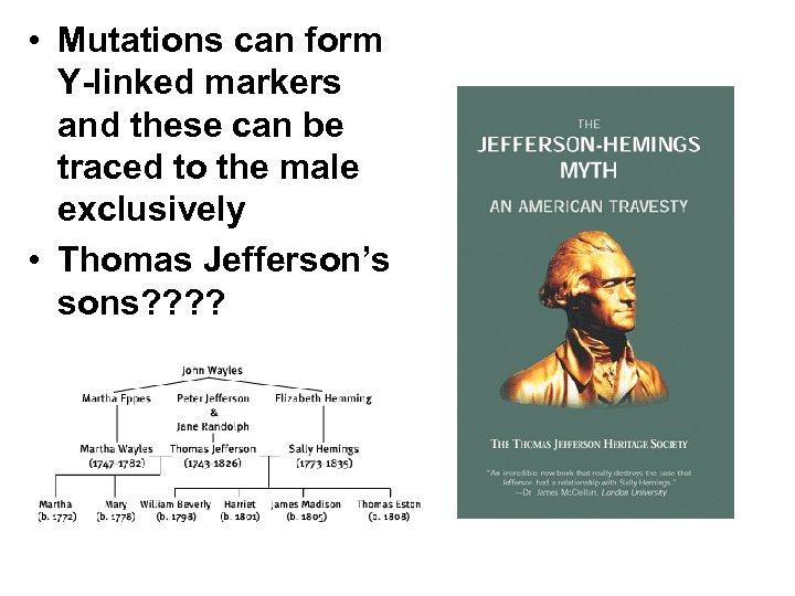  • Mutations can form Y-linked markers and these can be traced to the