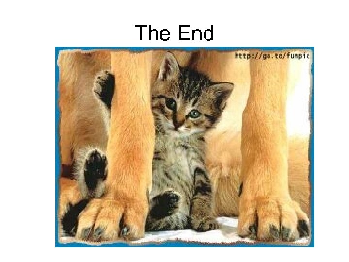 The End 