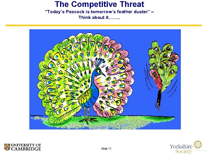 The Competitive Threat “Today’s Peacock is tomorrow’s feather duster” – Think about it……. .