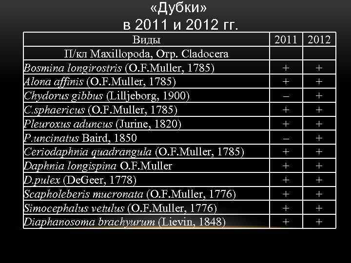  «Дубки» в 2011 и 2012 гг. Виды П/кл Maxillopoda, Отр. Cladocera Bosmina longirostris