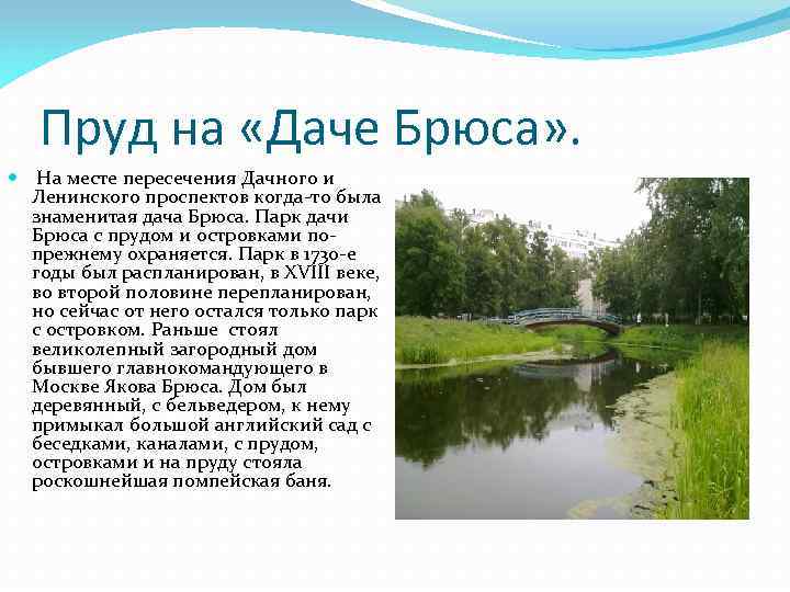 Пруд на «Даче Брюса» . На месте пересечения Дачного и Ленинского проспектов когда-то была