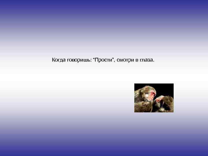 Когда говоришь: “Прости”, смотри в глаза. 