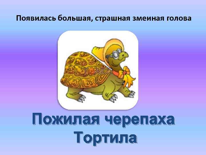 Появилась большая, страшная змеиная голова Пожилая черепаха Тортила 