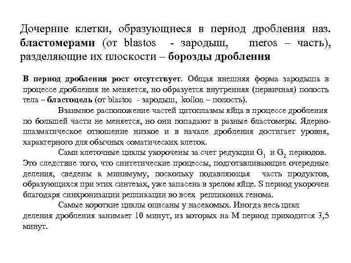 Дочерние клетки, образующиеся в период дробления наз. бластомерами (от blastos - зародыш, meros –