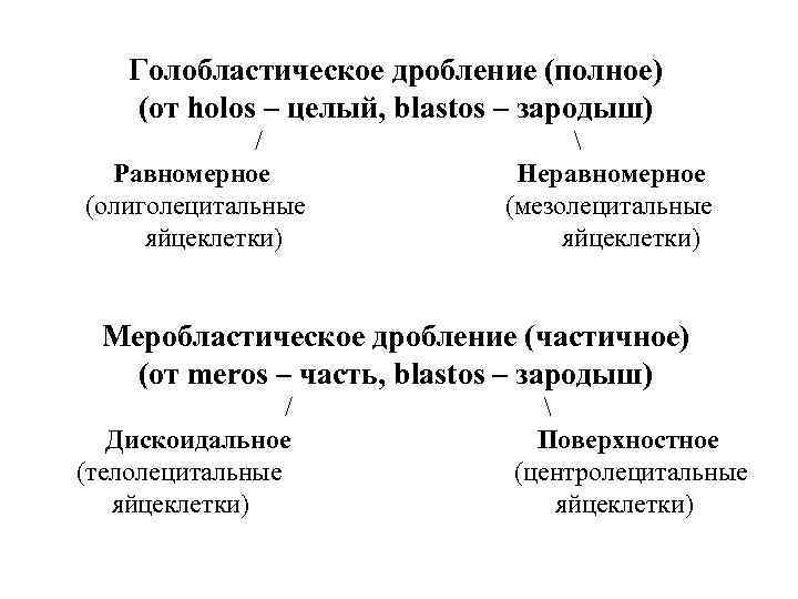 Полное дробление. Голобластическое дробление равномерное и неравномерное. Голобластическое неравномерное дробление характерно. МЕРОБЛАСТИЧЕСКИЙ Тип дробления. Голобластическое дробление характерно для.