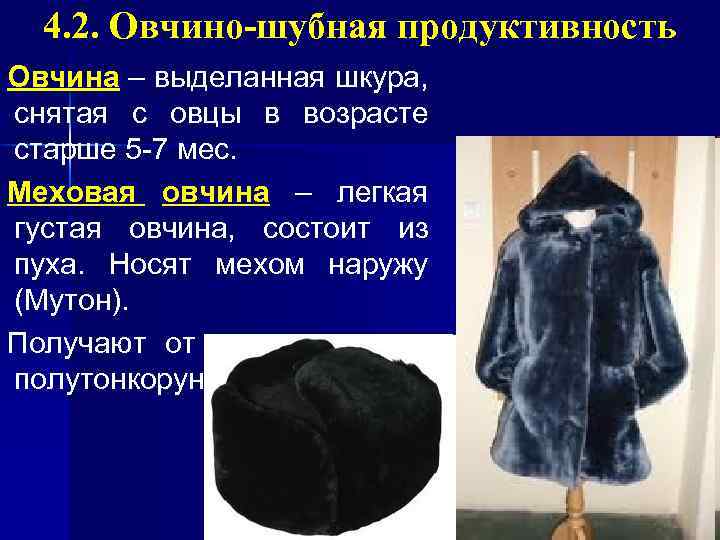 4. 2. Овчино-шубная продуктивность Овчина – выделанная шкура, снятая с овцы в возрасте старше