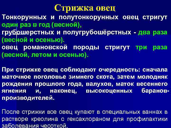 Стрижка овец Тонкорунных и полутонкорунных овец стригут один раз в год (весной), грубошерстных и